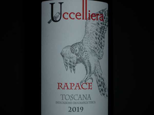 Uccelliera Rapace Toscana 2019